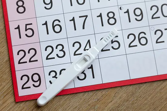 Missed Period. What Can it Mean?