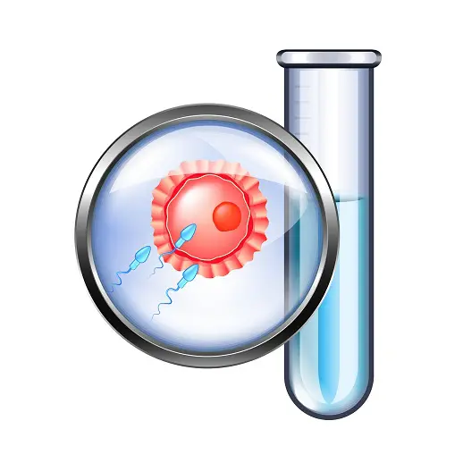 Different Stages Of An IVF Treatment